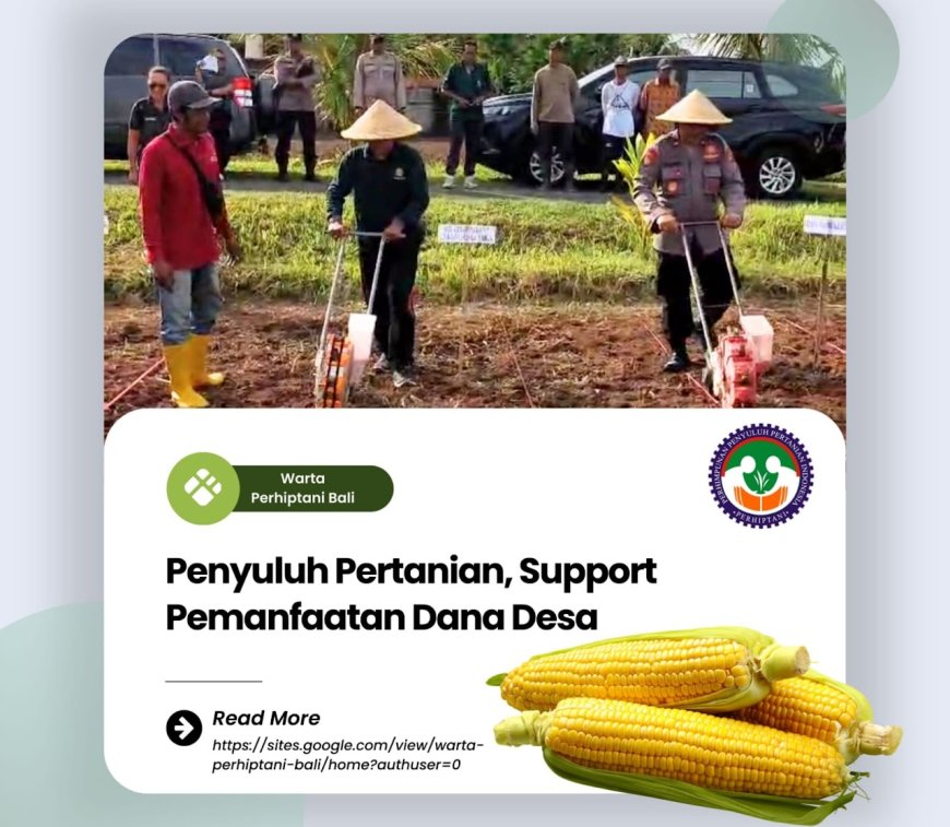 Penyuluh Pertanian, Support Pemanfaatan Dana Desa