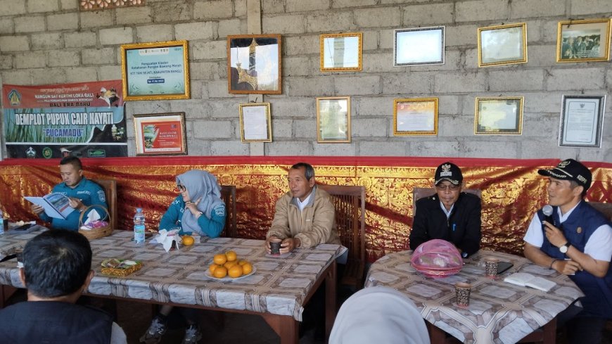 Petani Tegal Rejo Jatim, Menimba Ilmu Bawang Merah di Desa Songan