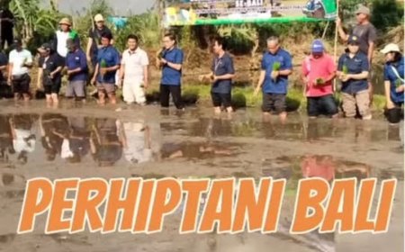PERHIPTANI BALI Tanam Padi Serentak Se-Bali