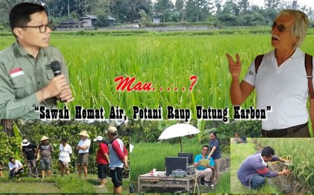 “Sawah Hemat Air, Petani Raup Untung Karbon”