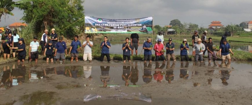 "PERHIPTANI Bali Orkestrasi Gerakan Tanam Padi Terbesar Tahun Ini”