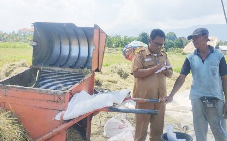 “Dari Hardys ke Sawah Pegadungan”