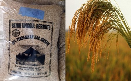 “Kemandirian Benih, Ketahanan Pangan Terjamin”