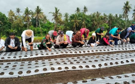 Medahan Bergeliat: Petani Gianyar Tanam Harapan Lewat Bawang Merah