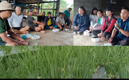 Celuk, Peling, Prejurit:  “Ngobrol Bawang Merah, Ngobrol Masa Depan”