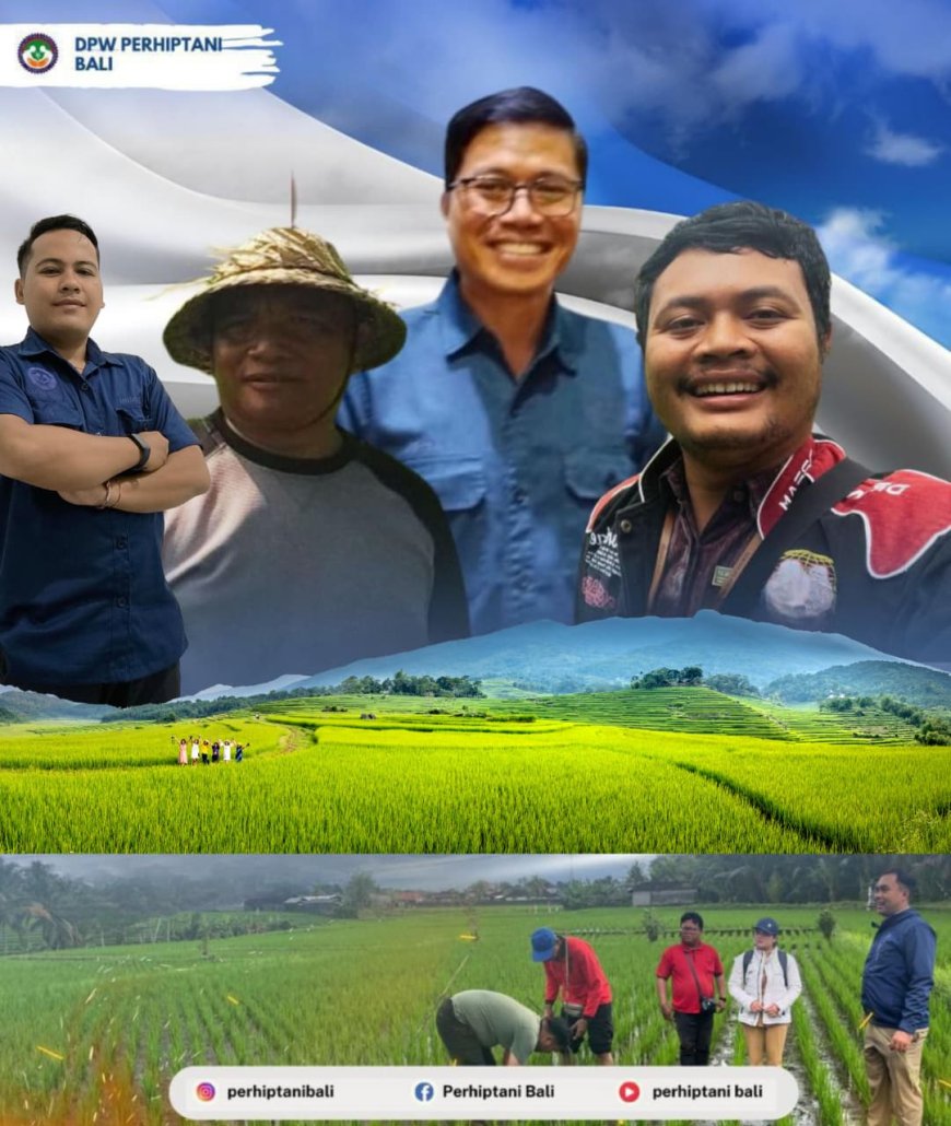Petani Jadi Demonstrator, Penyuluh Sebagai Penopang