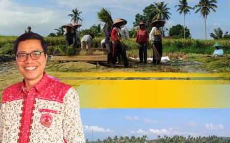 Komando Tunggal Penyuluh, Jalan Menuju Swasembada Pangan