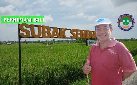 I Ketut Budiawan, S.P.: Sang Mentor Subak Sembung