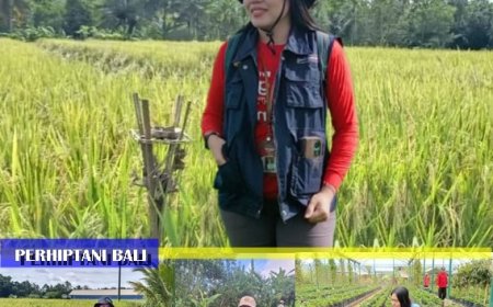 Kadek Dwi Septiari, SP:  “Ibu Peri di Balik Sawah,  di Rumah Ia Menyemai Cinta”