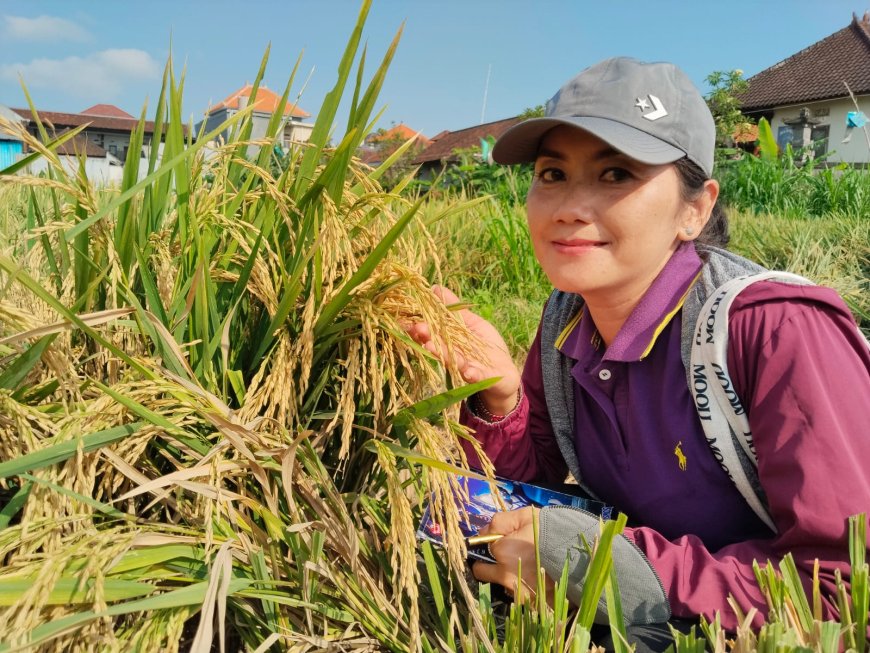 Diana, Si Pena Data di Tengah Sawah