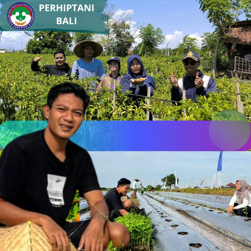 Tedy Ferdiansyah: Menyemai Asa di Tengah Krisis Petani