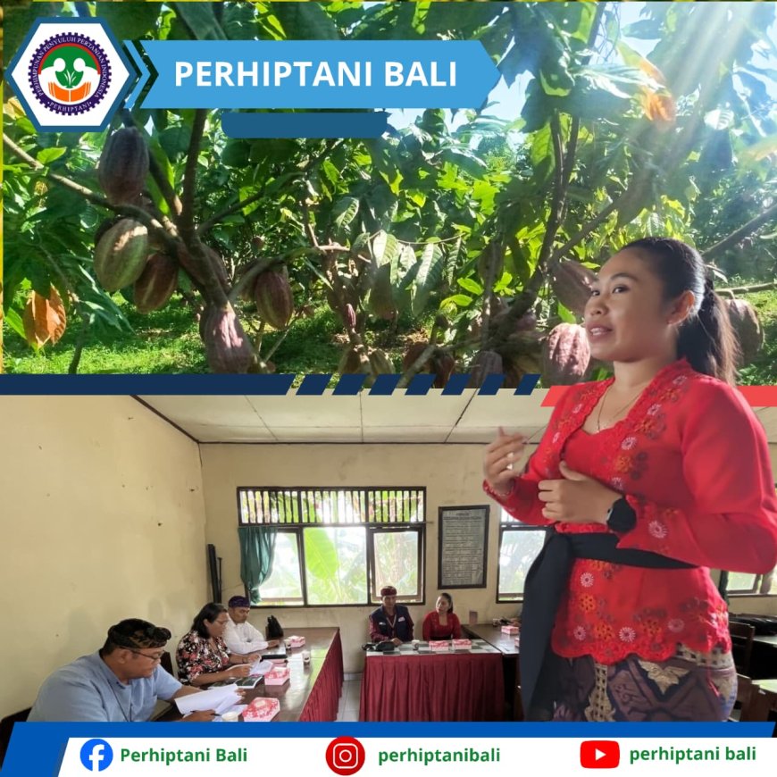 Menanam Harapan, Membangun Kembali Kejayaan Kakao Bali