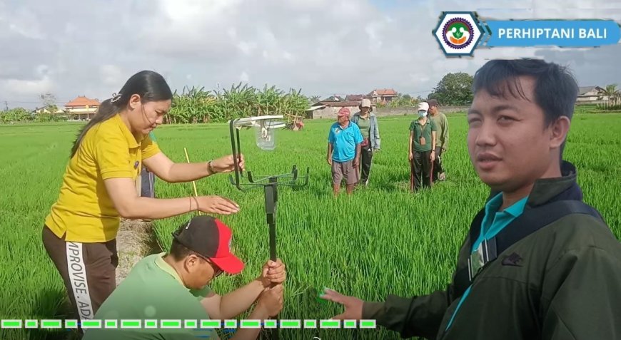 I Made Widnyana: “Dari Barista ke POPT, Meracik Semangat di Lahan Petani”