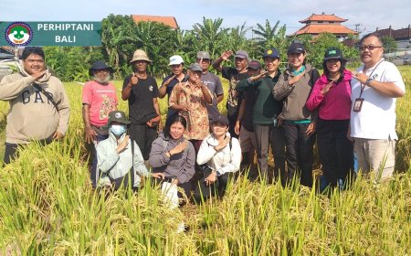 “Tembus 10,6 Ton, Kini Petani Cukup Klik “Call Me Opa”!