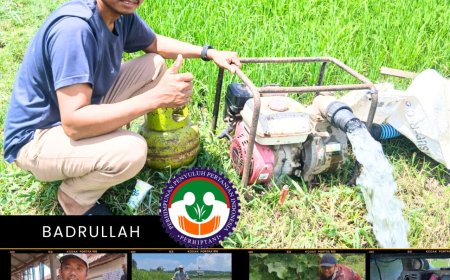 Inovasi Badrullah, Petani Muda Antiboros