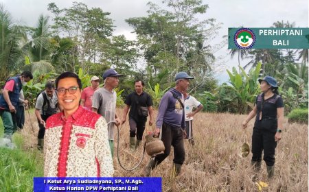 Rasionalisasi WKPP di Tengah Tantangan Pangan Bali