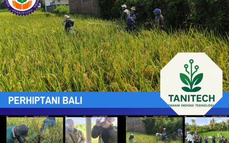 “Tanitech, Jurus Dongkrak Produktivitas Petani”