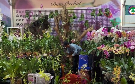 Ketika Anggrek Kembali Bersemi, Bali Pun Menggeliat Lagi