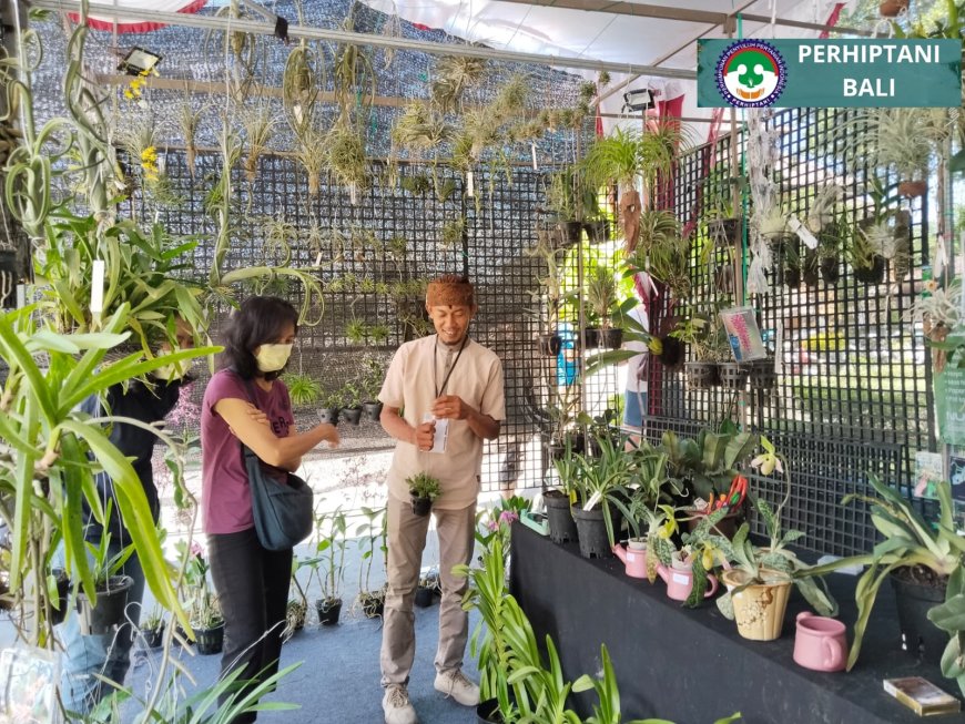 Dari Sopir Truk Jadi Pebisnis Anggrek