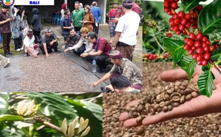 “Semangat Petani Lemukih Kobarkan Harum Kopi Bali”