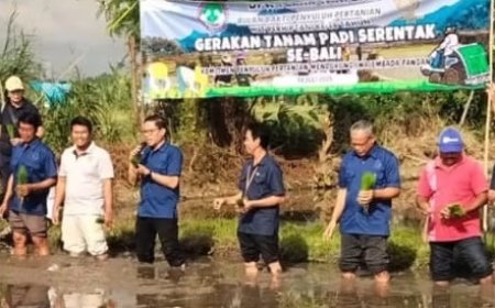 Refleksi Perhiptani Bali 2025 : Perhiptani Orkestrasi Gerakan Tanam Padi