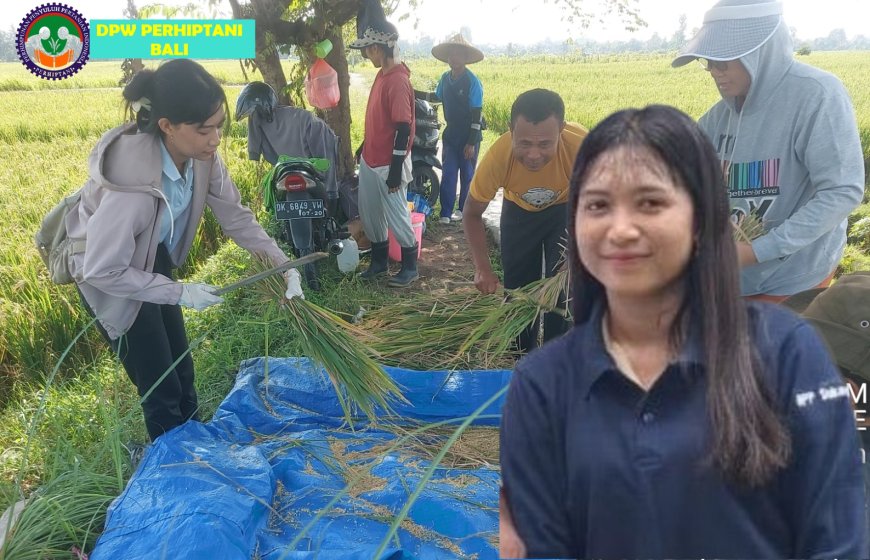 Dari Perawat ke Penyuluh:  Krisna Menanam Harapan Baru