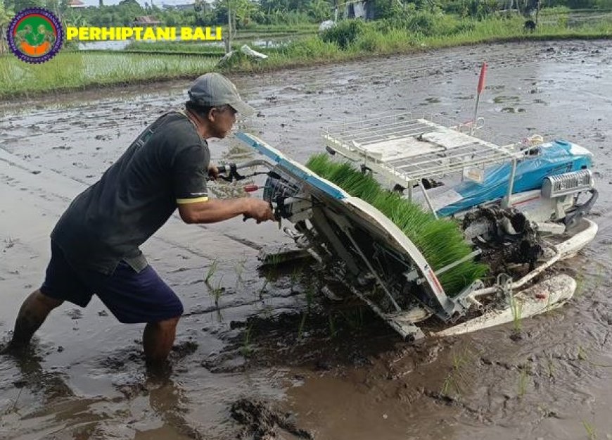 Petani Temukus, Simbul Lahirnya Pertanian Modern