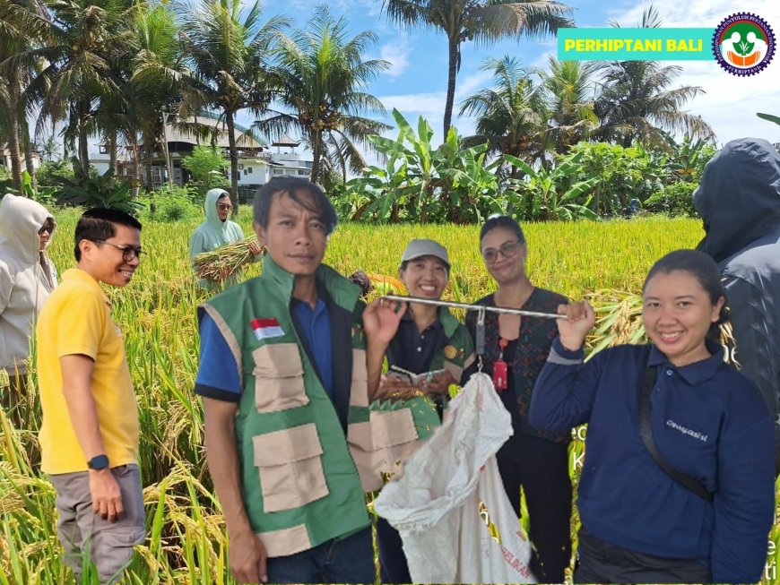 Sinergi Perhiptani Bali–Pupuk Indonesia Berbuah Manis di Gianyar