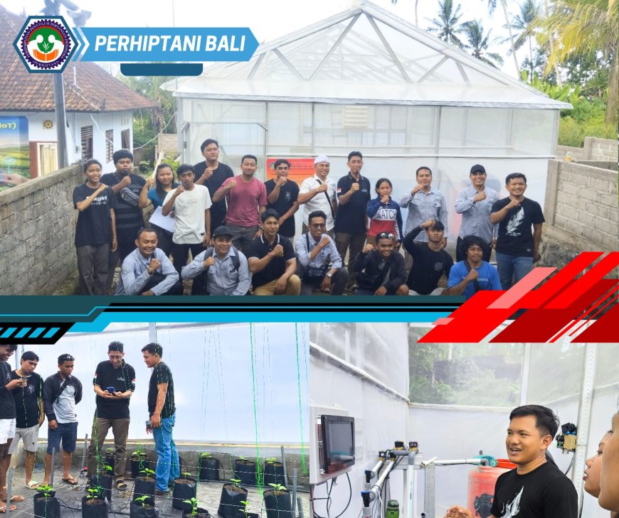 Generasi Muda Palasari Pacu Revolusi Tani Cerdas