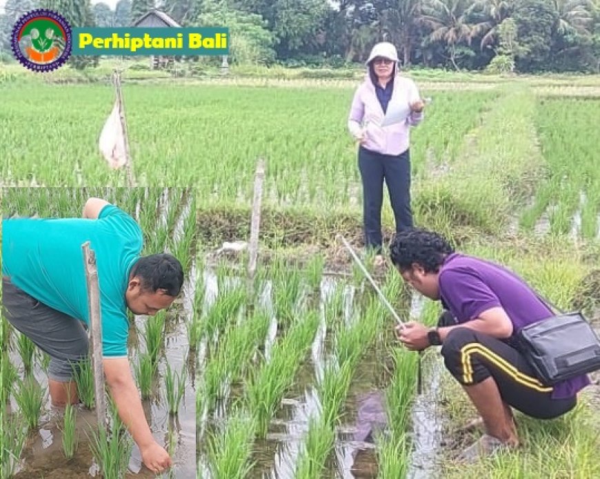 Agri Mitra Bukti Nyata Petani Gianyar Kian Mandiri