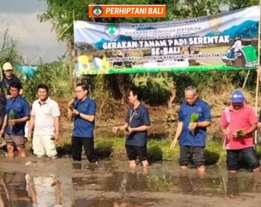 Refleksi Perhiptani Bali 2025 : Perhiptani Orkestrasi Gerakan Tanam Padi