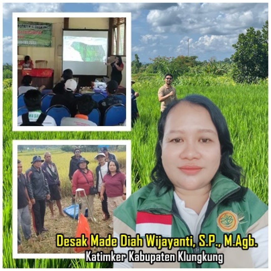 Desak Diah, Penyuluh Inspiratif nan Kreatif