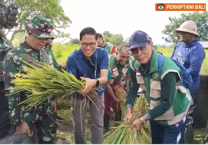 Agri Mitra: “Dobrak Awal 2026, Petani Bali Torehkan 9,1 Ton/Ha!”