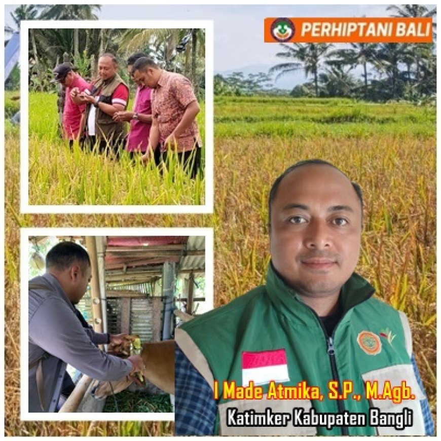 Atmika: Wajah Teduh, Semangat Tangguh
