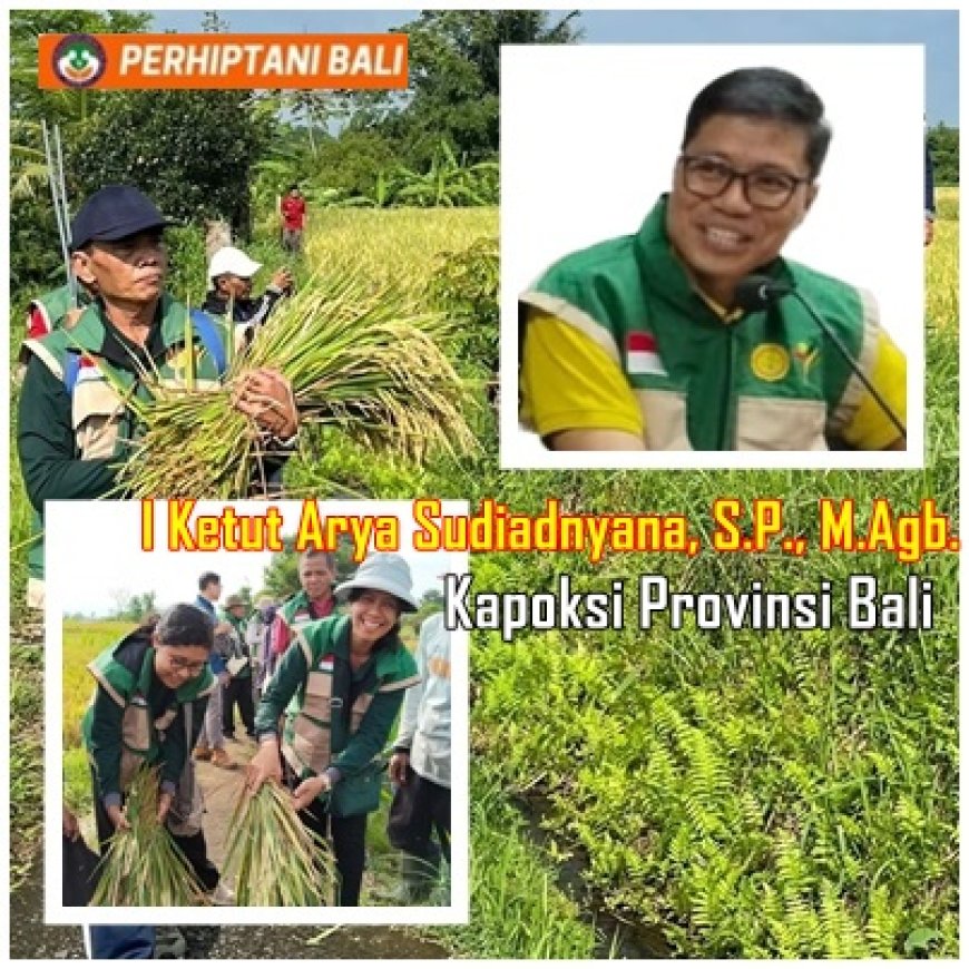 Bali Tak Salah Pilih: Dia, Pemimpin yang Mengayomi dan Visioner