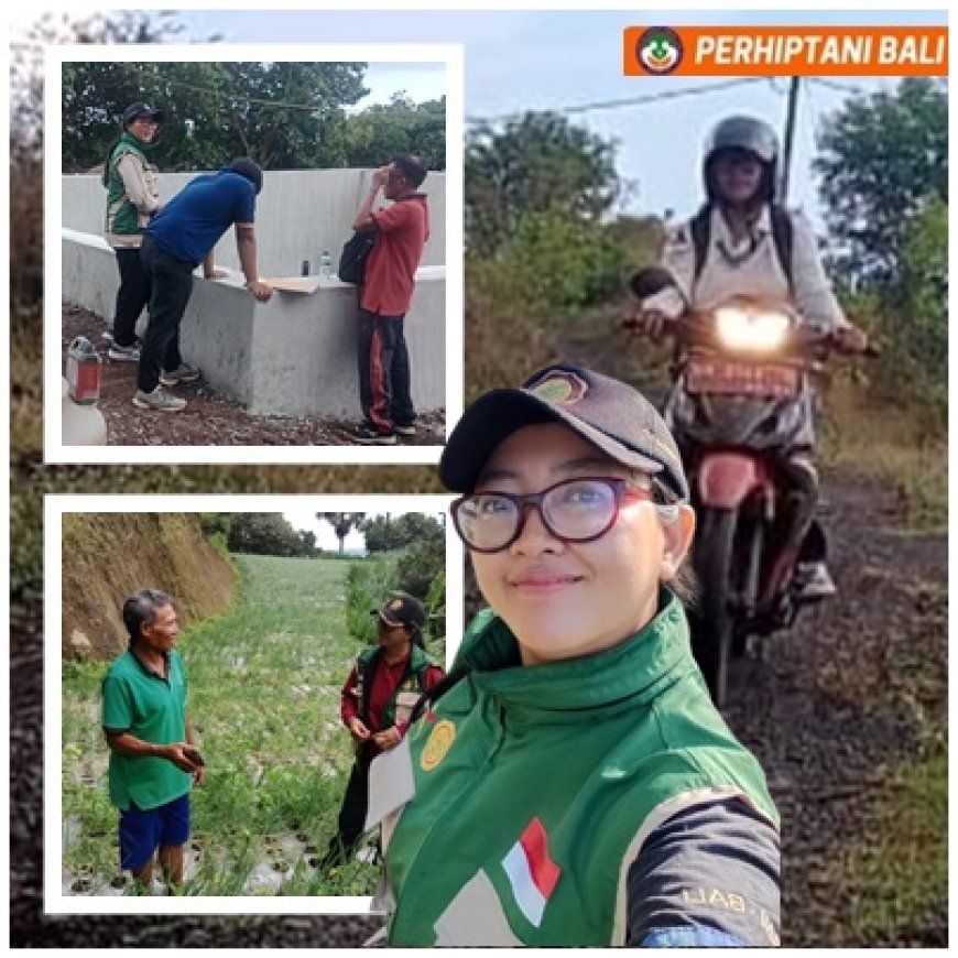 “Laksmi, Sang Penakluk Jarak Demi Hidupnya Pertanian Lahan Kering”