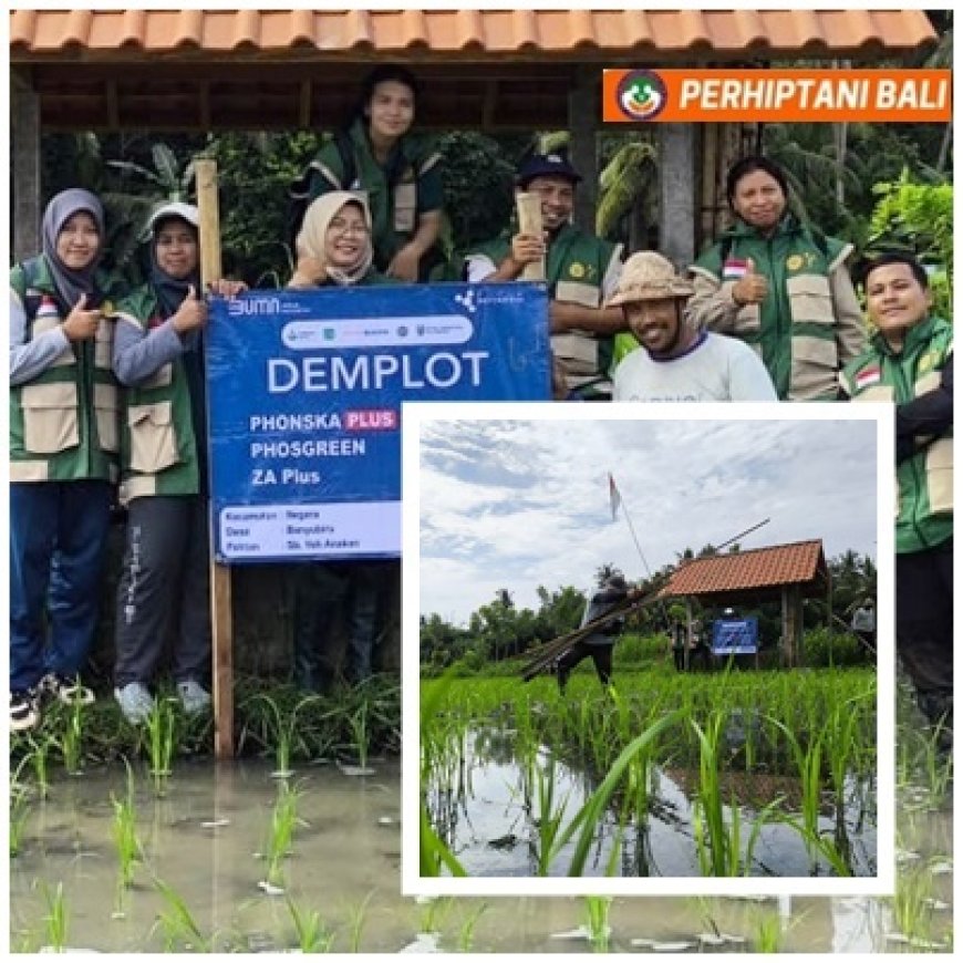 Agri Mitra:  Penyuluh Jembrana Tancap Gas Uji Inovasi Pupuk