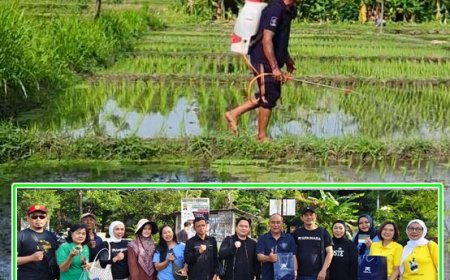 Pertanian Nano Mulai Diterapkan di Subak Sembung