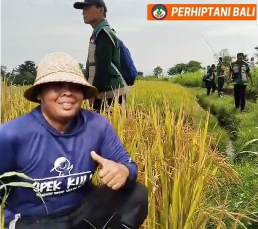 Komang Artana : “Kalau Kita Mau Maju, Jangan Takut Berinovasi”