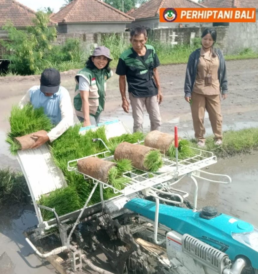Buleleng Makin Menggeliat, Menyongsong Pertanian Modern