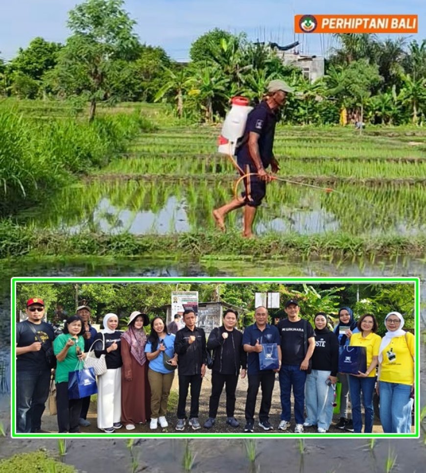 Pertanian Nano Mulai Diterapkan di Subak Sembung