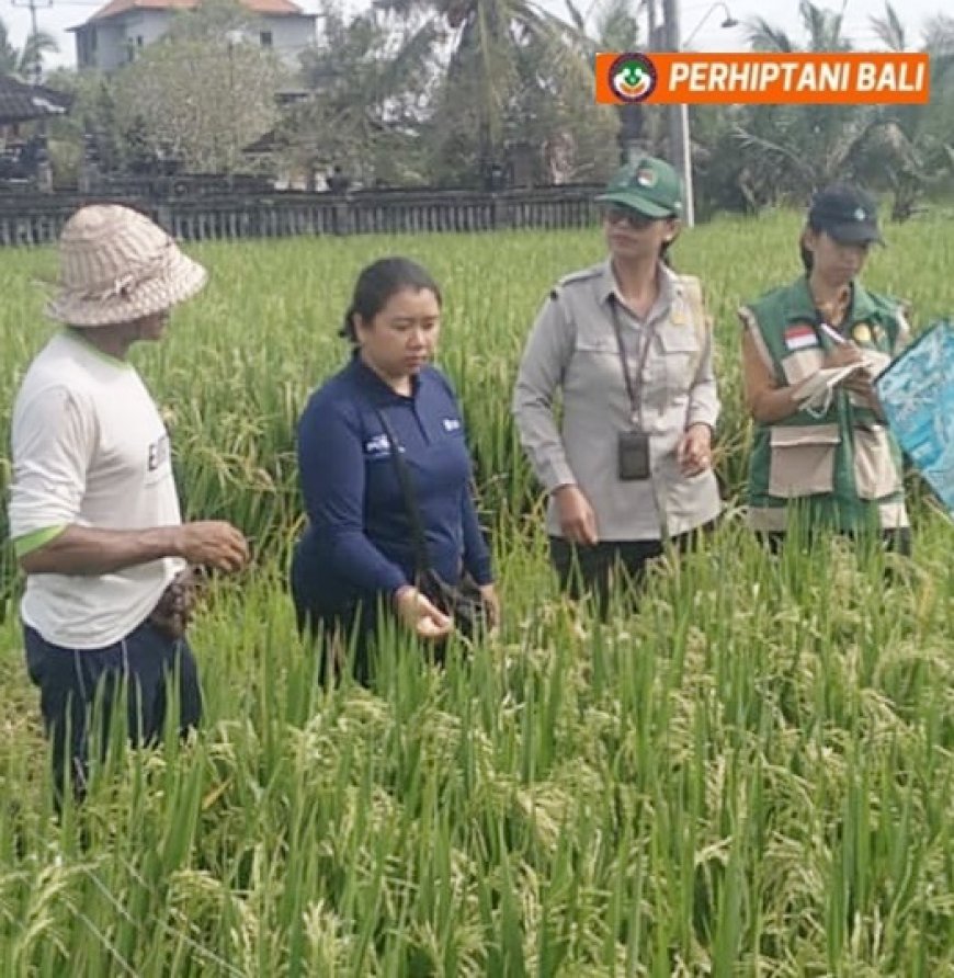 Perhiptani Bali Solid!  Demplot Bona Jadi Titik Konsolidasi dan Dongkrak LTT