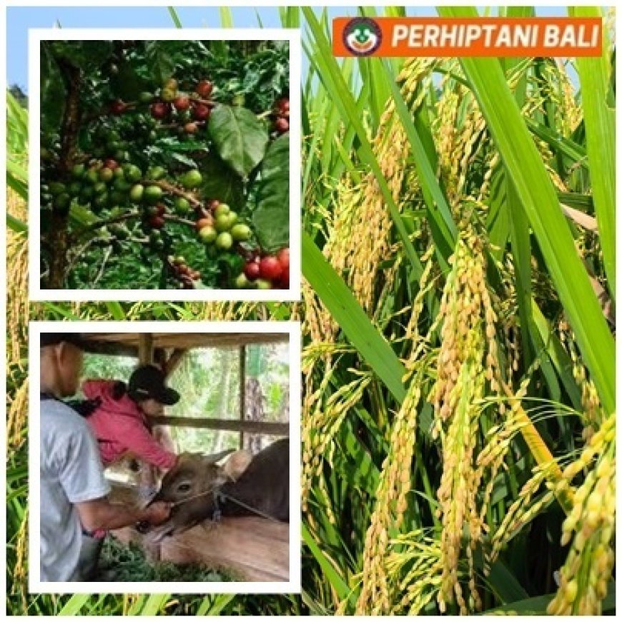 “BPP Sukasada Kawal Produktivitas dan Kelembagaan Tani”