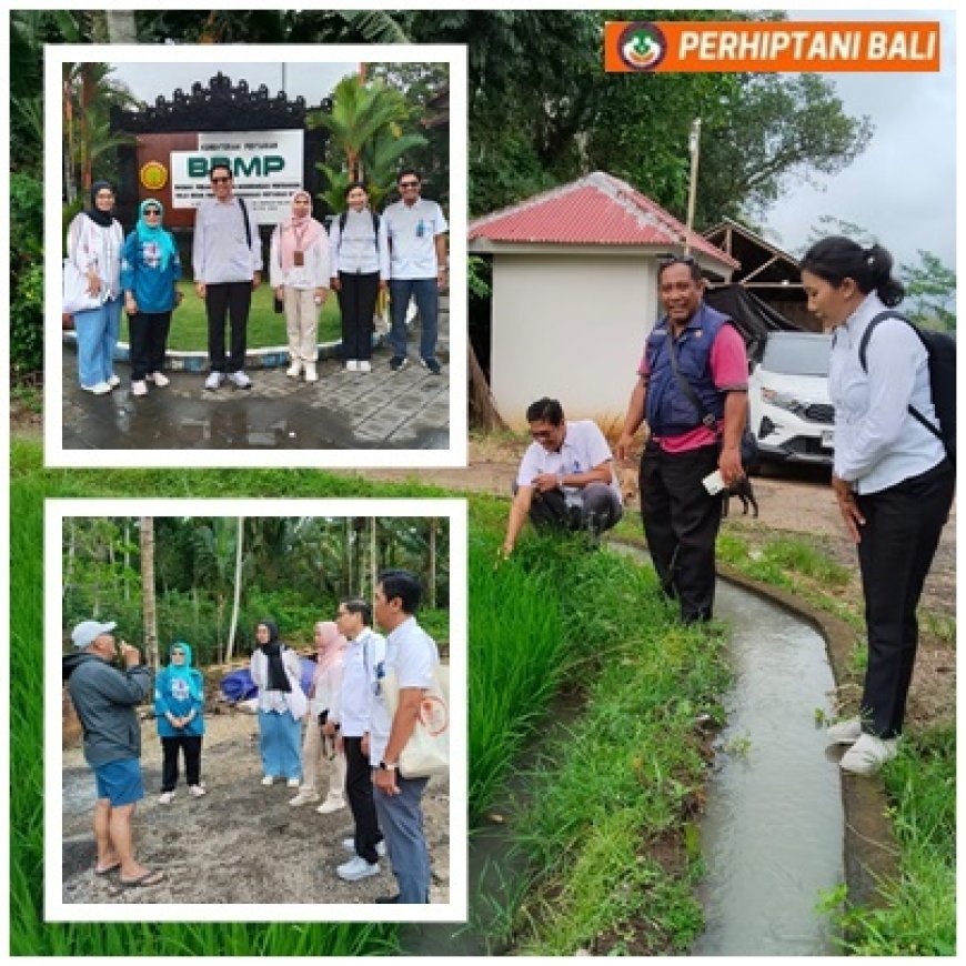 Pusluhtan Gandeng APO, Siapkan Workshop Carbon Credit Biochar di Bali