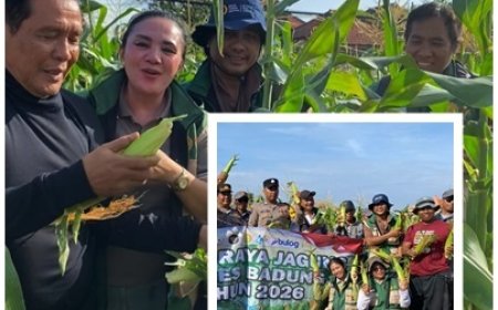 Polsek dan Penyuluh Dampingi Petani Panen Jagung