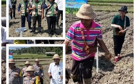 Dari Subak Belong, Gerakan Tanam Jagung Digelorakan