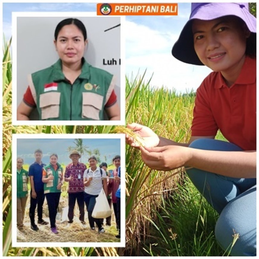 Si Kembar Penjaga Pangan Bali