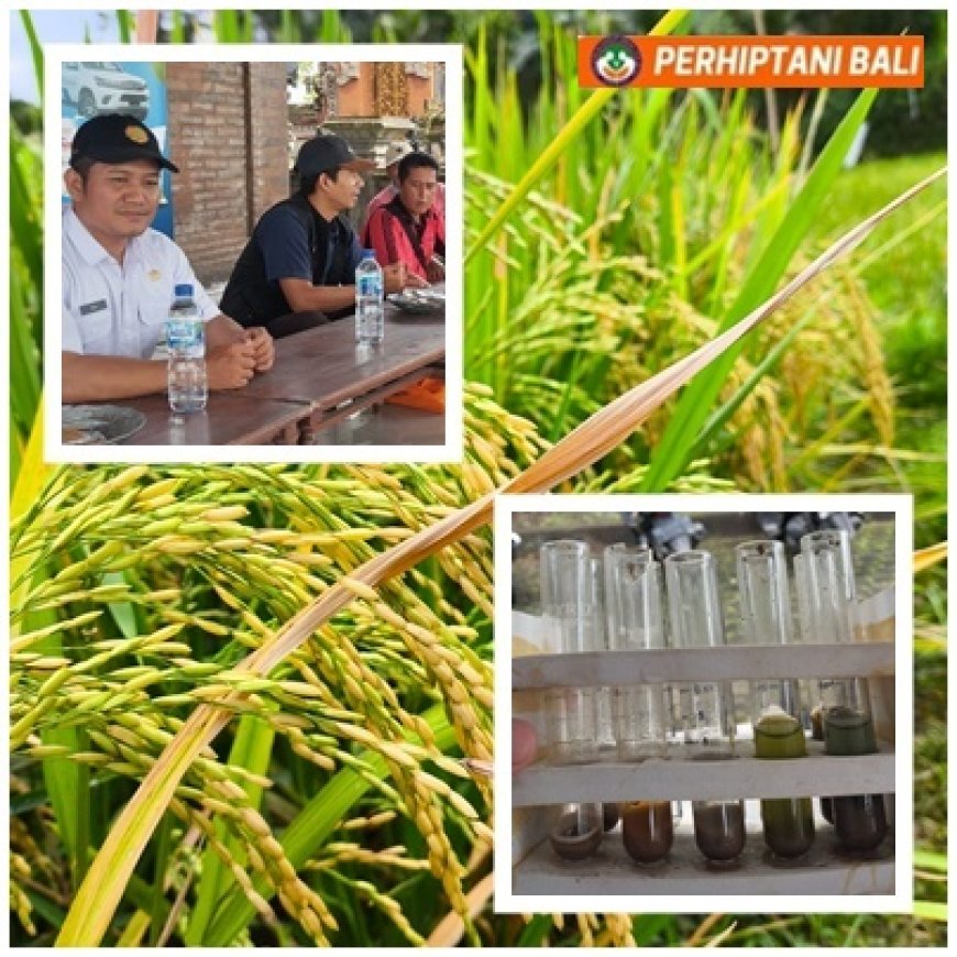 Sinergi Penyuluh–Pupuk Indonesia, Sawah Mendoyo Dibedah Data