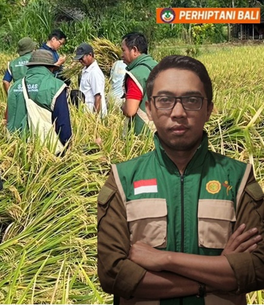 Anom Wijaya: Pendiam yang Konsisten