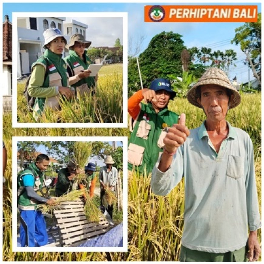 “Lahan Menyusut, Semangat Bertani Tak Surut”